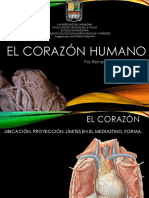 El Corazón Humano