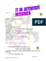 Activitate Integrata