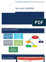 Distribucion Del Agua Corporal