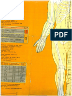 Mapa Pontos Chineses 9