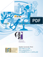 dcb_tecnico_en_peluqueria_y_cosmetica_capilar_es.pdf