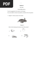 Year 5 Science Test Paper