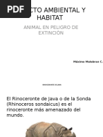 Impacto Ambiental y Habitat Maximo