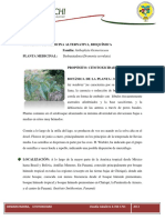 Desbaratadora -Planta para eliminar quistes y fibromas.pdf