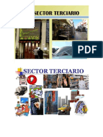 Sectores productivos.docx