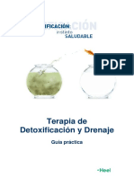 YO_Dossier detoxificacion.pdf