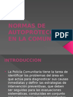 Presentacion Normas de Seguridad