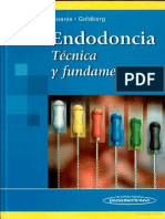 Endodoncia Tecnicas y Fundamentos