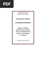 Causas y efectos de la quema de basura | PDF | Residuos | Contaminación