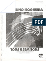 Paulinho Nogueira - Tons e Semitons