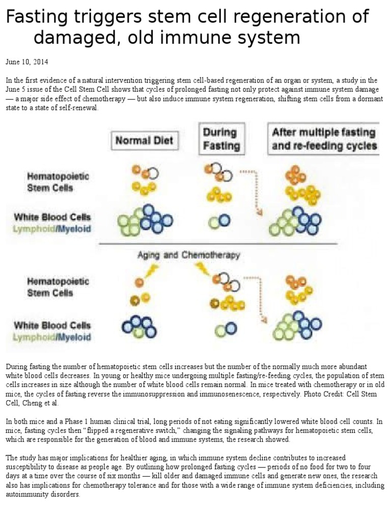Fasting And Stem Cell Regeneration – JLQSS