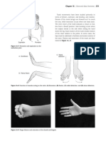 Supination Pronation: Chapter 16