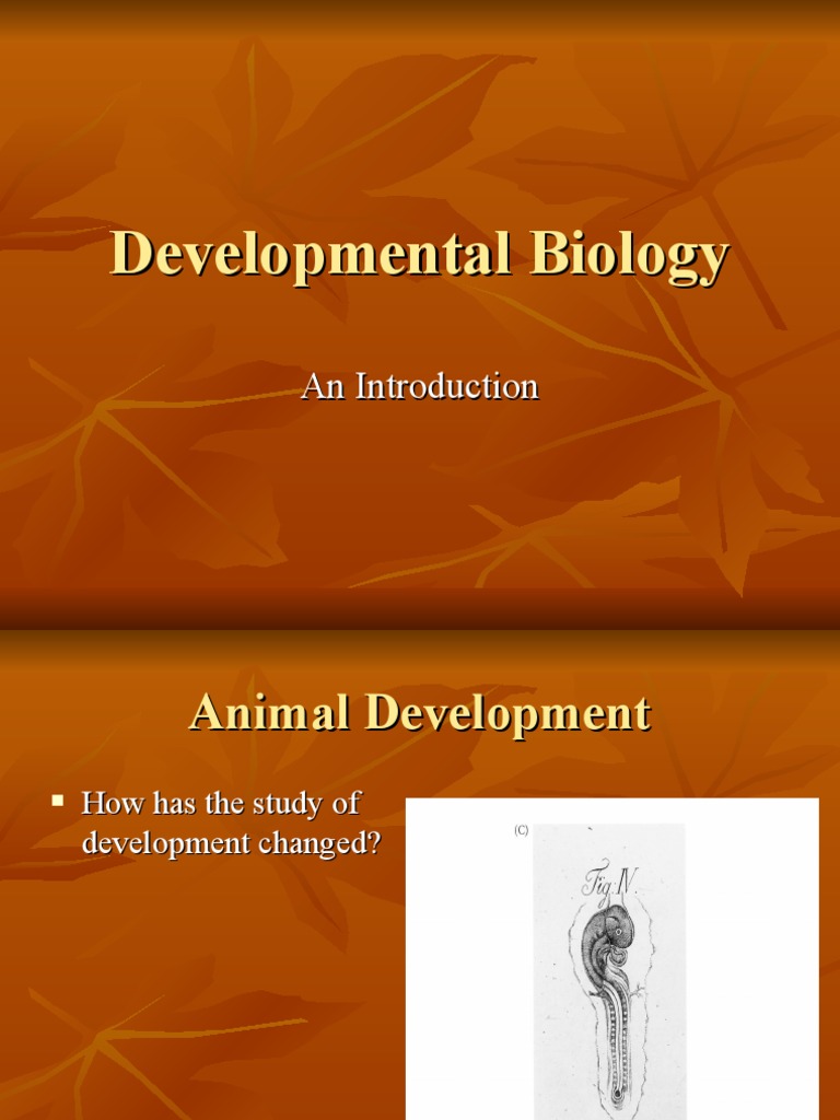 Developmental Biology