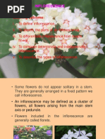 Lecture 6 - Inflorescence PDF