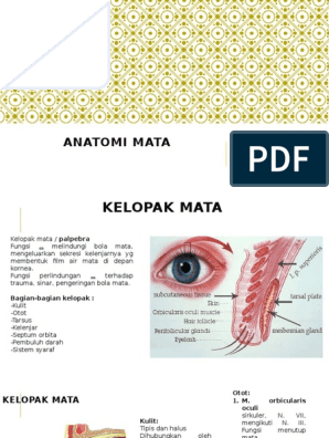 28+ Anatomi Mata Scribd