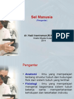 Sel Manusia Anfis