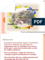 Ciclos biogeoquímicos: movimiento y reciclaje de nutrientes