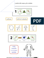 Las Partes Del Cuerpo y Los Sentidos (Arasaac)