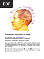 O Cérebro ou o “mar de dentro” um mitema?