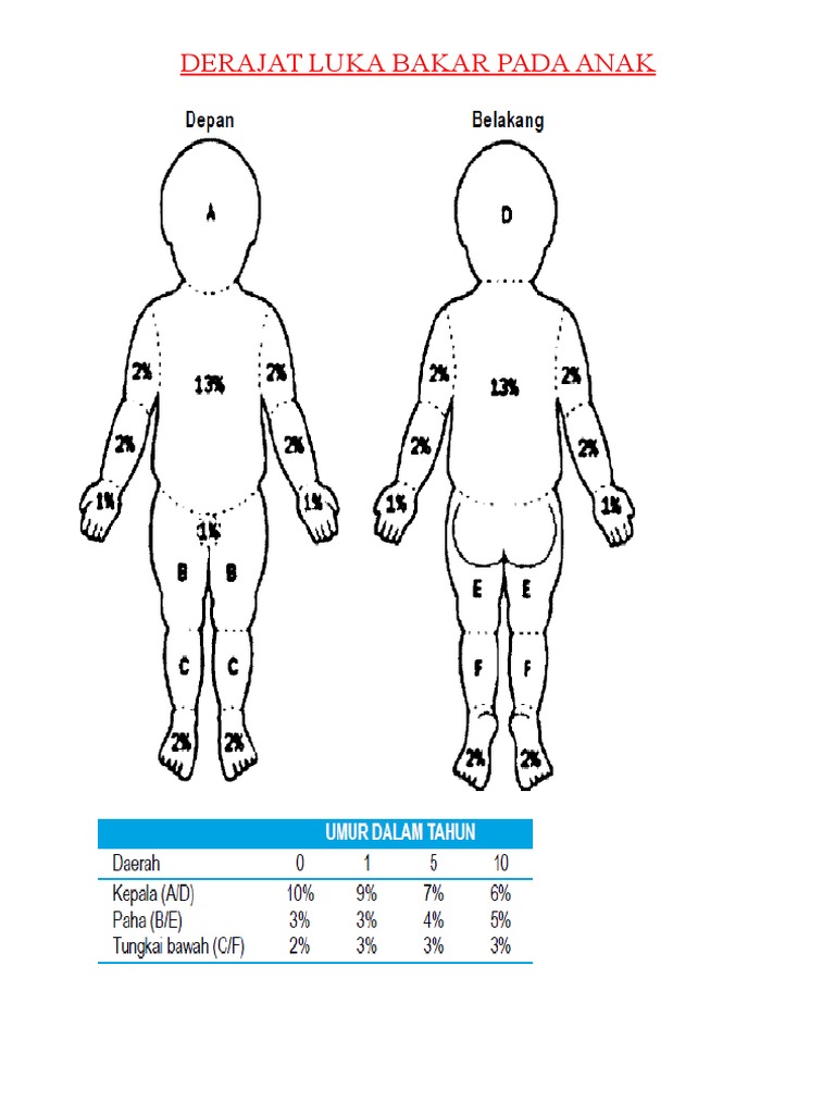 Derajat Luka Bakar | PDF
