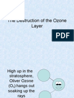 Ozone Layer Explanation