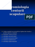 Sinteza Artomiologica Acenturii Pectorale (1)