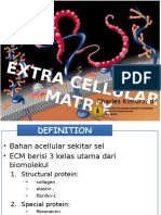 Extra Cellular Matrix 22062012