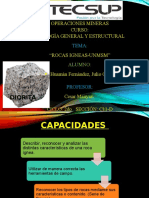 Exposicion de Geología