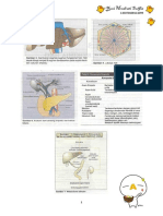 Buku 5. Sistem Gastrointestinal, Hepatobilier Dan Pankreas
