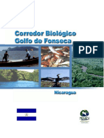 Pro Arc a 2001 Golfo Fonseca