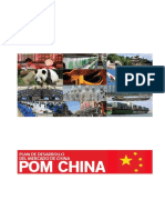 POM_China.pdf
