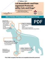 Examples of Anaesthetic and Pain Management Protocols For Healthy Cats and Dogs