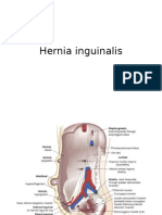 Hernia Inguinalis