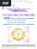 Cura e Ascensão - A Flor Da Vida e a MerKaBa Por Drunvalo Melchizedek
