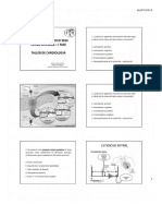 Cardio Rof1 Taller Cardiologia Dr