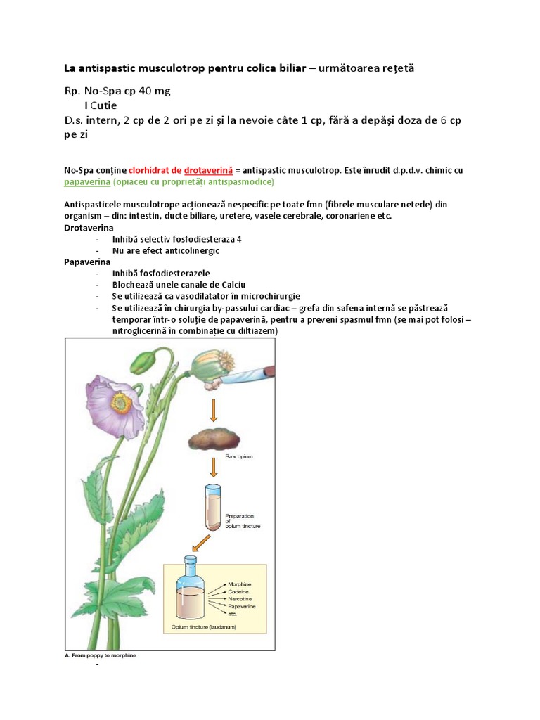 Antispastic Musculotrop | PDF