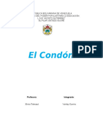 condon.docx