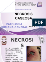 Necrosis Caseosa Pato