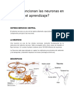 Como Funcionan Las Neuronas en El Aprendizaje