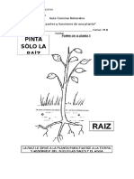 Guìa Ciencias Naturales Partes y Funciones de Una Planta