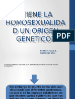 Tiene La Homosexualidad Un Origen Genetico
