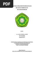 Download Laporan Praktikum Hematologi Kelainan Morfologi Eritrosit by Lidya Nirmala SN313715004 doc pdf