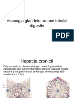 Patologia Glandelor Anexe