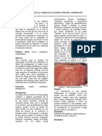  Repercusion de Las Aftas y La Infeccion de La Candidiasis