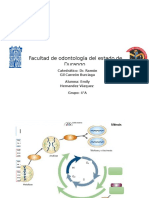 Ciclo Celular y Matriz Extracelular