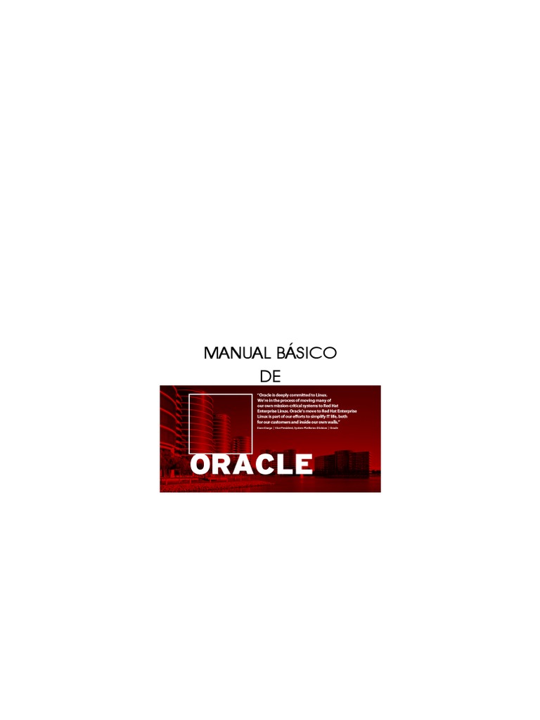 Manual Basico de Oracle | PDF