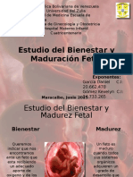 Bienestar y Madurez Fetal