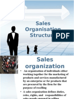 Sales Organisation Structure