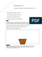 Actividad Experimental