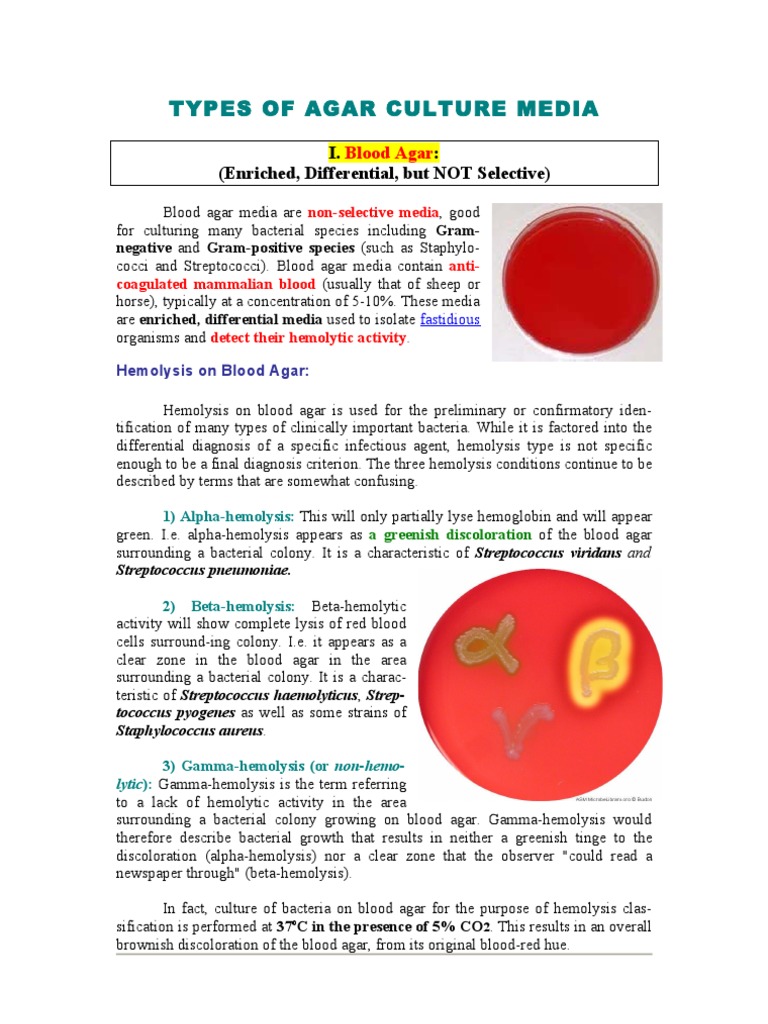 what are the 3 types of bacterial culture media